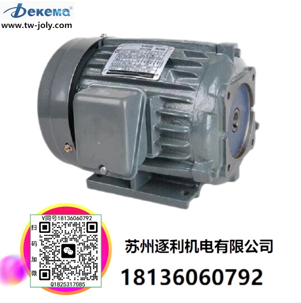 Dekema德克瑪 油泵電機(jī)組合 2HP/1.5KW配VP20葉片泵 液壓站