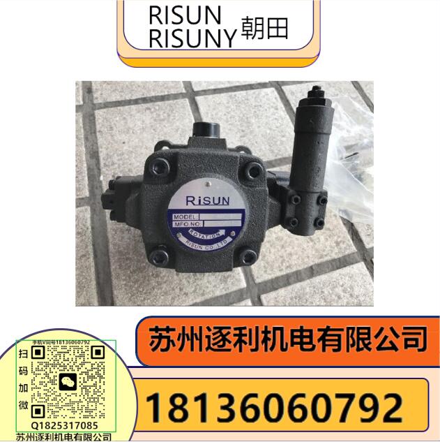 VA1-12F-A3油泵臺(tái)灣朝田RISUNY液壓泵 注塑機(jī)專用油泵VP-SF-30-D